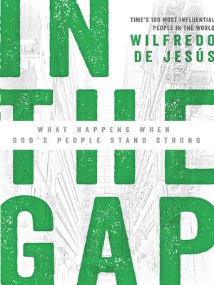 cover image of In the Gap